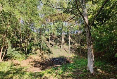 Teren de vanzare extravilan Ocolis - 13