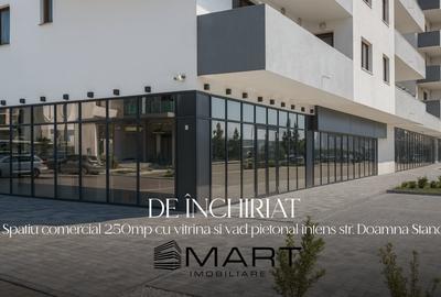 Spatiu comercial 180mp zona Doamna Stanca Sibiu - 1