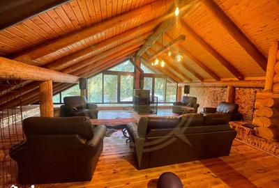 Casă cu 9 camere cu Piscina în Grădiștea - 17