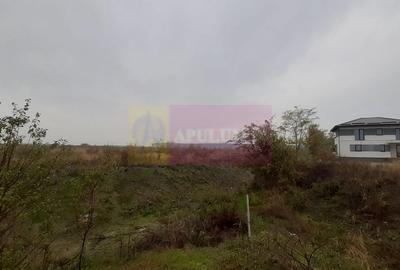 Teren în Corbeanca - 11