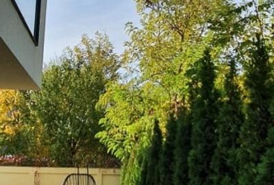 Casă individuală cu 10 camere cu Canalizare în Sisești - 17