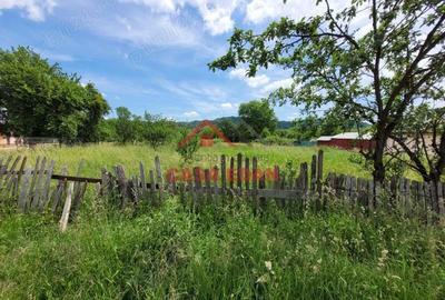 Teren intravilan in Brebu-- 3399mp--81.500e - 3