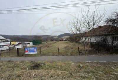Teren de 3000 mp, în Exterior Vest - 5