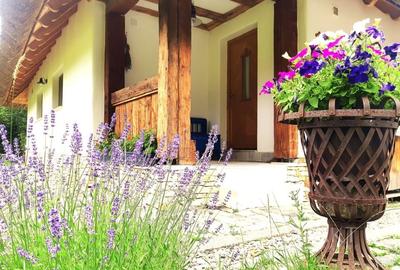 Casa traditionala de vis, aproape de Cluj-Napoca - 4