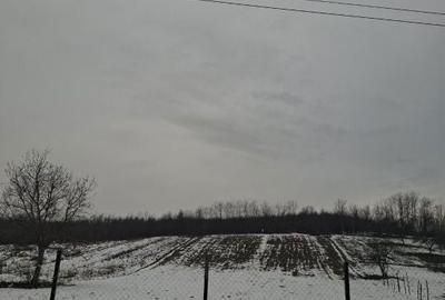 Spațiu comercial, în Povârgina - 3