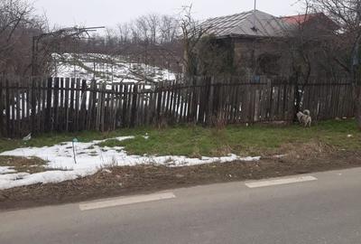 Teren de 1635 mp, în Sintești - 2