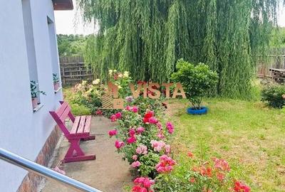 Casă cu 2 camere în Bod - 11