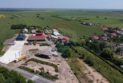 Teren Construcții intravilan de 73351 mp, în Sud - 6