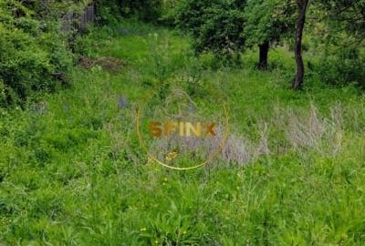 Teren intravilan cu deschidere la parau in Breaza – Strada Primaverii - 4