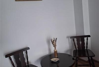 Inchiriere apartament 2 camere Carol City-Park - 7