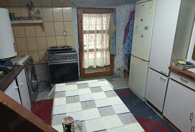 Casă cu 3 camere în Muntele Băișorii - 5