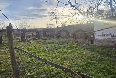 Spațiu comercial, în Cetariu - 11