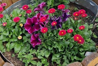 Spațiu comercial, de 270 mp, în Viștișoara - 8