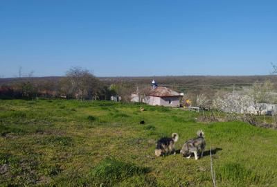 Casă cu 2 camere cu Teren 2500 Mp în Dumbrăveni