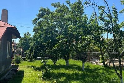 Casă cu 3 camere în Corbii Mari - 4