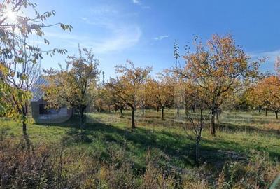 Teren Intravilan 6300 mp Magurele Prahova , Oportunitate ! - 6