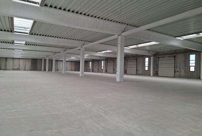 Hala beton 3000 mp, ideal fabrica, 10 Porti TIR, dedicat 400 kw Hala beton 3000 mp, ideal fabrica, 10 Porti TIR, dedicat 400 kw - 3