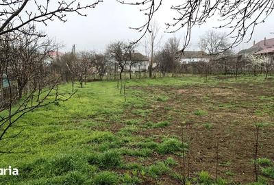 Casă cu Teren 1856 Mp în Central