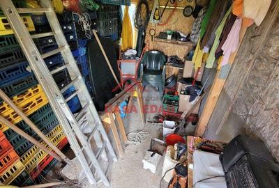 Teren extravilan in Baicoi 10.000mp plantatie mure --80.000e - 5