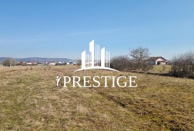 Teren agricol extravilan de 1000 mp, în Șelimbăr