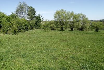 Teren de 1600 mp, în Cacica - 7