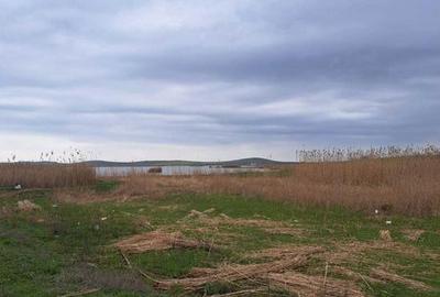 Teren de 3615 mp, în Jurilovca - 1