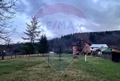 Casa de vis Valea Silistii - spatiu generos, natura si liniste deplina - 15