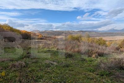 Teren pretabil pentru cabana - 3