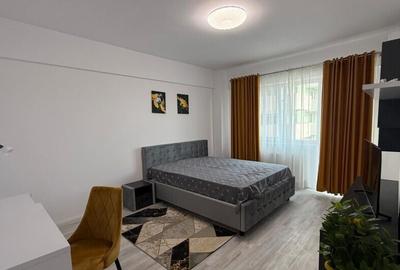 Garsonieră decomandată în Podu Roș - 2