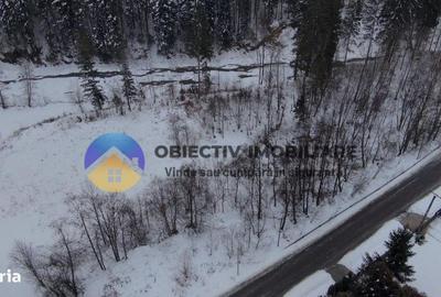 Teren de 2283 mp, în Tarcău - 7