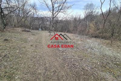 Teren de 3448 mp, în Provița de Jos - 9