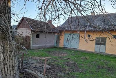 Casă cu 3 camere cu Teren 3600 Mp în Central - 3