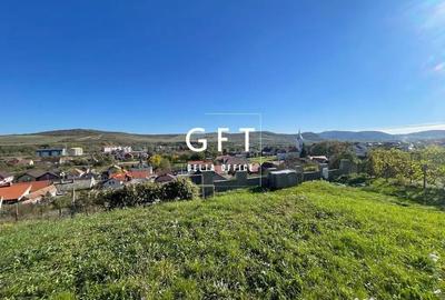 Teren de 2700 mp, în Viișoara - 2