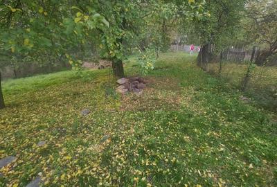 Casa batraneasca cu teren (4.910 mp) la Alunis - 15