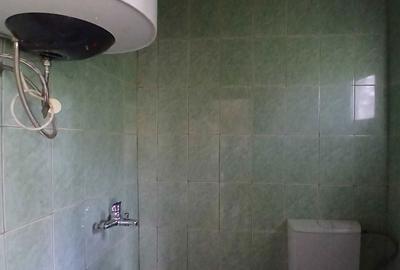 Casă cu 4 camere în Duboz - 3
