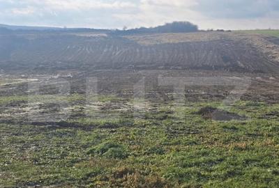 Teren intravilan in Cheriu foarte aproape de inelul metropol - 3