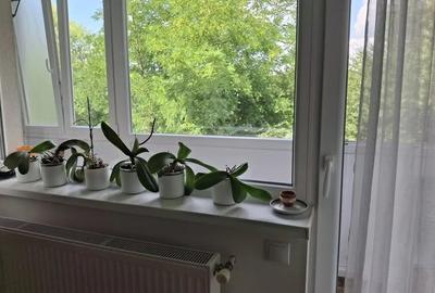 Apartament cu 3 camere, balcon, langa VIVO - 6