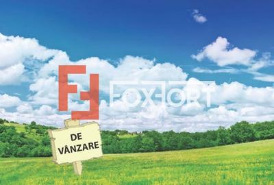 Teren extravilan de vanzare, 41100 mp, Timisoara - ID V3582 - 2