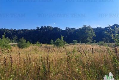 Casa cu teren 3579mp in com. Cascioarele, Jud. Giurgiu Casa cu teren 3579mp in com. Cascioarele, Jud. Giurgiu - 6