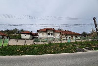 Casă individuală cu 5 camere cu Teren 7000 Mp în Central - 2