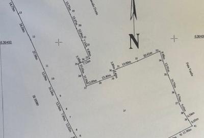Teren Construcții intravilan de 10000 mp, în Șaru Dornei - 2