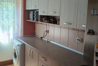 Apartament cu 3 camere decomandat în Nufărul - 3
