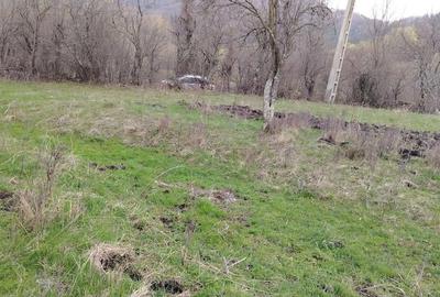 Teren de 4200 mp, în Bisoca - 5