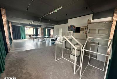 Spațiu comercial, de 195 mp, în Valea Lupului - 17