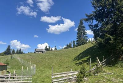 Spațiu comercial, în Piatra - 2