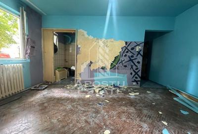 Apartament cu 2 camere, parter, zona Sagului - 4