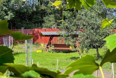 Casa armonios compartimentata, 834 mp teren, Ilieni, Covasna: FILM! - 9