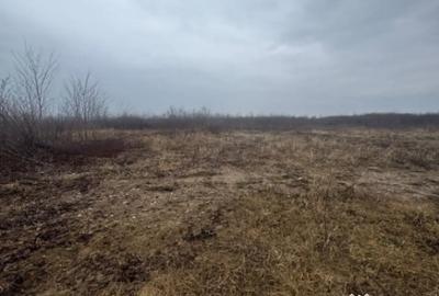 Teren de 8200 mp, în Tăuții-Măgherăuș - 2