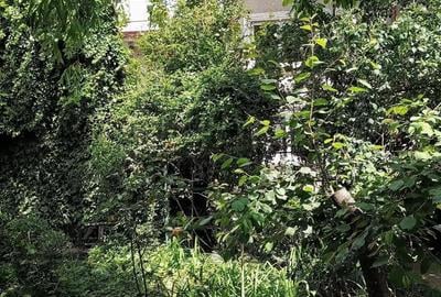 Casă cu 6 camere cu Teren 450 Mp în Berceni - 5