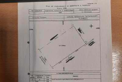 Teren intravilan Plataresti 1500 mp 20 km distanta de Bucuresti - 1